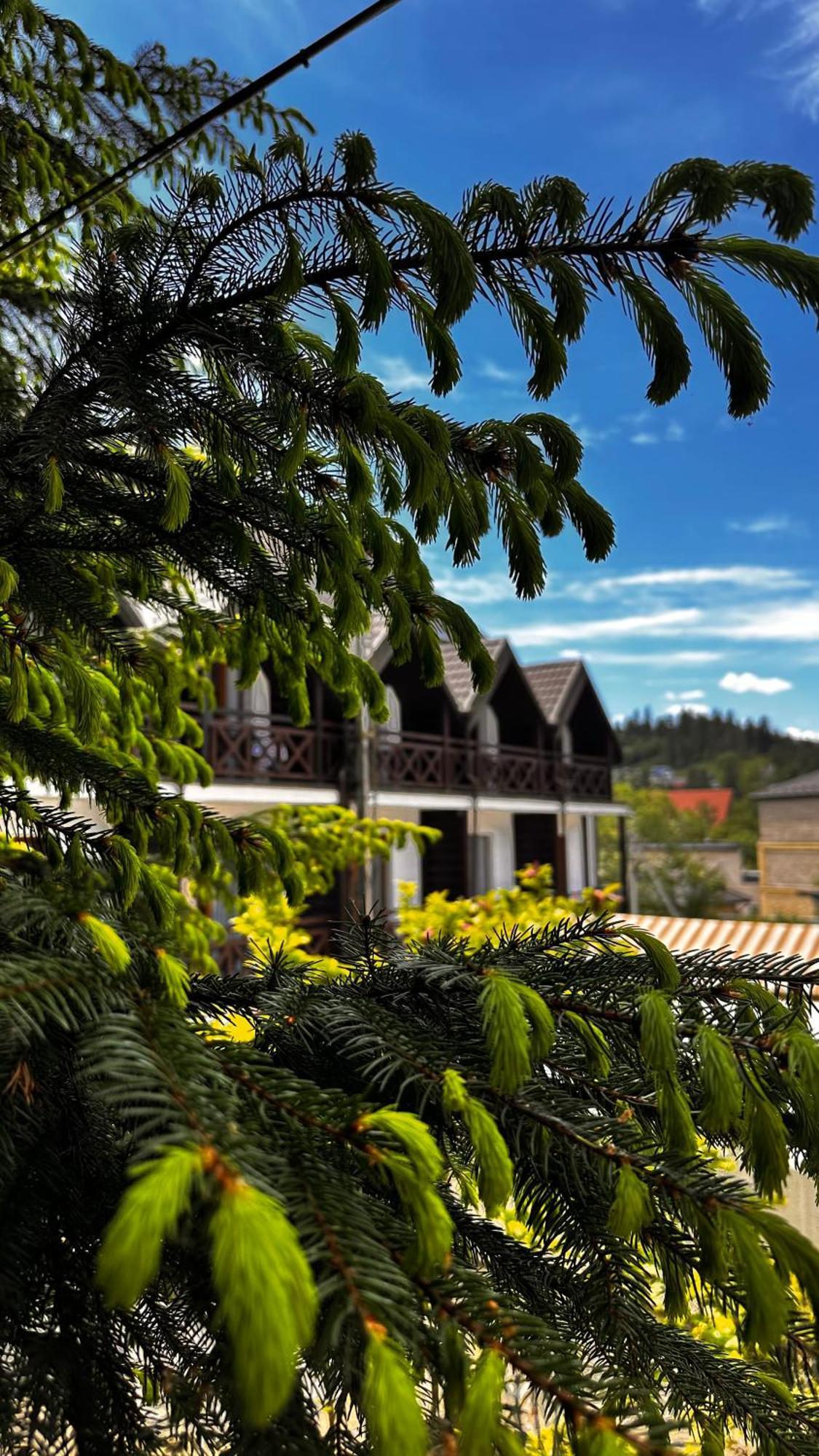 Rubel Aparthotel&Spa Yaremche Luaran gambar